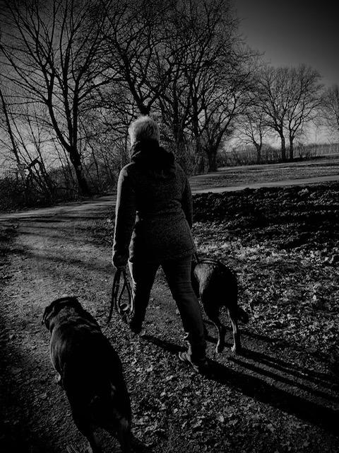 Hundeschule Kerstin Fellner Kursangebote Hundeschule Kerstin Fellner Kursangebote