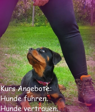 Hundeschule Kerstin Fellner Kursangebote Hundeschule Kerstin Fellner Kursangebote